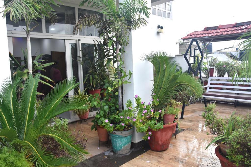 The Royal Luxury Homestay *