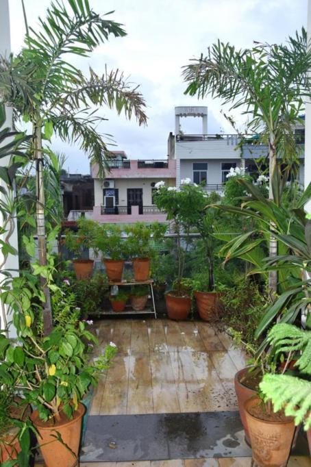 Homestay The Royal Luxury *
